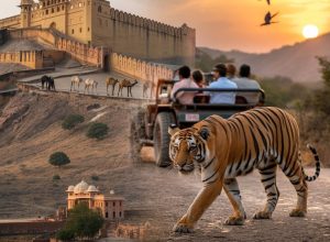 Why Jaipur Ranthambore Tour is a Must for Every Rajasthan Explorer